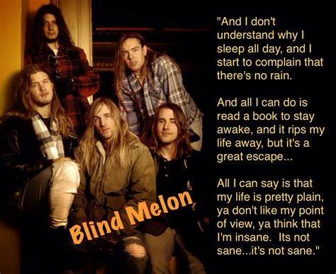 Blind melon three is a magic number